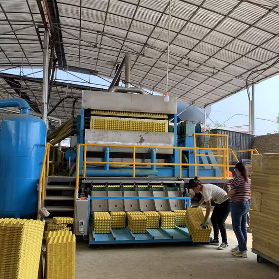 Equipment for Production Quail Egg Tray Paper Recycling Machineegg Carton Chicken Paper Egg Tray Forming Machine