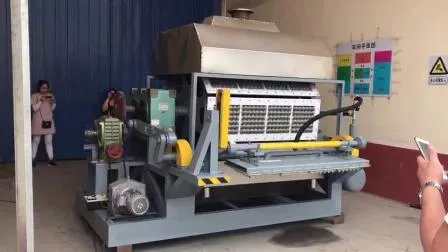 Macchina per lo stampaggio di vassoi per uova Attrezzature per la produzione di piatti di carta